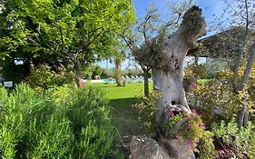 Agricampeggio Oasi Del Garda